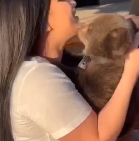 開始時與小熊玩得很開心。(Telegram)