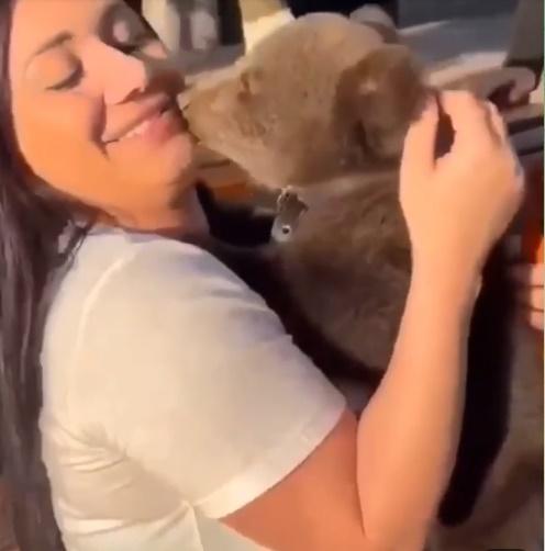 小熊多次湊近Madina的咀。(Telegram)