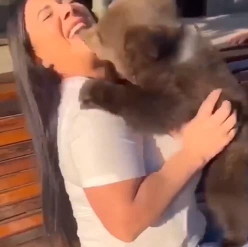 小熊突然咬Madina的下巴。(Telegram)