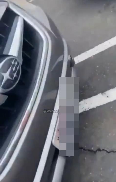 事主拍下對方車牌以作記錄。(Twitter)