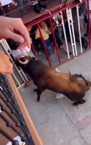 西班牙奔牛節,男子在妻女眼前遭公牛刺死。(Daily Mail)