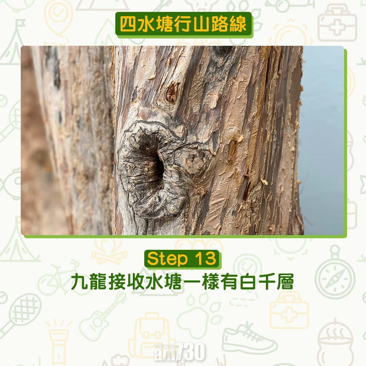 四水塘行山路線