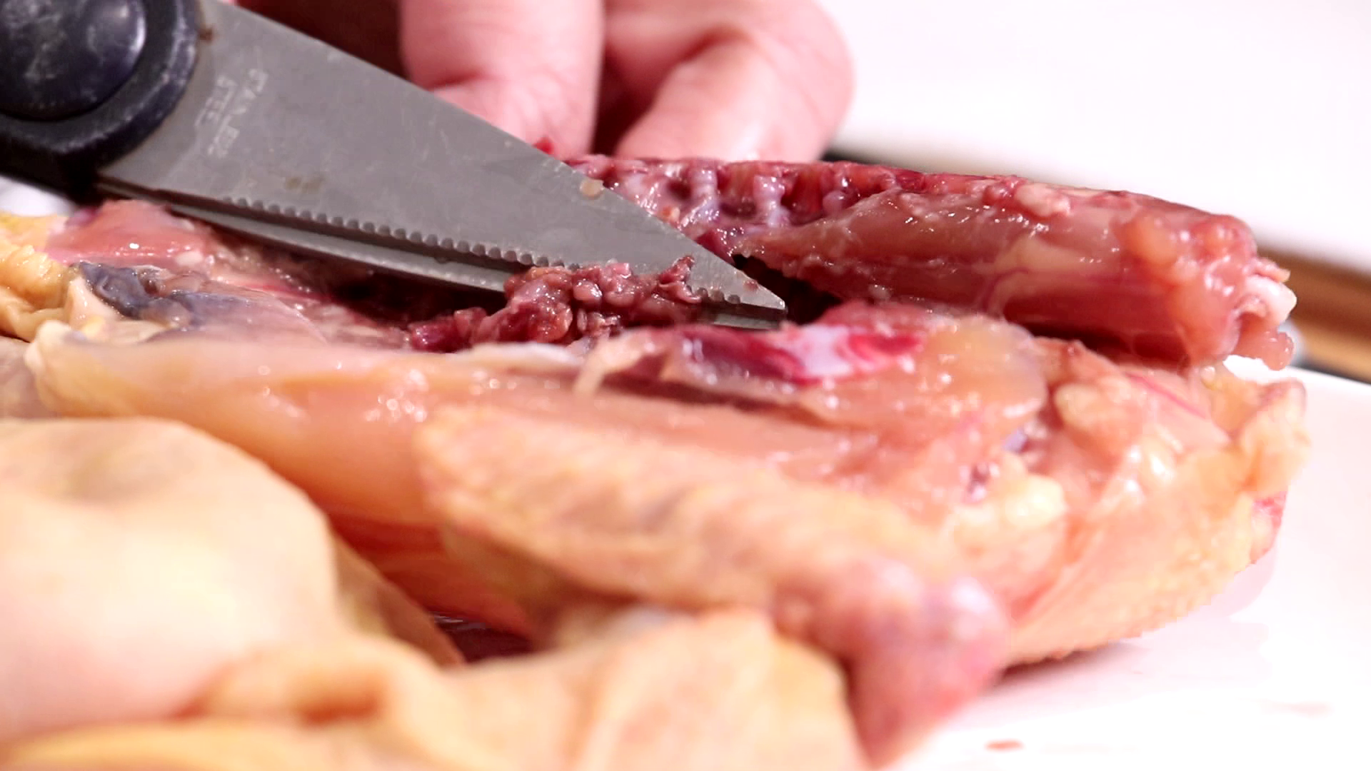 焗爐食譜 │焗西班牙春雞伴辣肉腸忌廉汁,剪走內臟