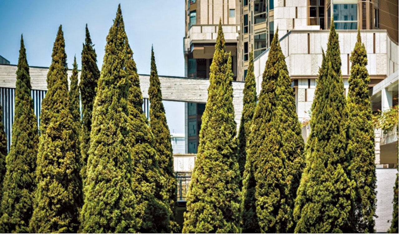 油街實現打造多媒體藝術空間