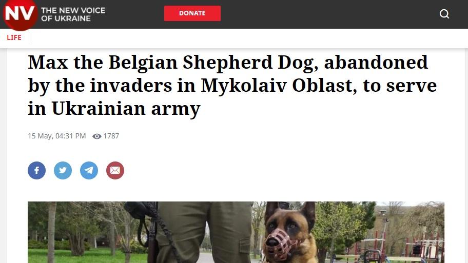 《The New Voice of Ukraine》報道。