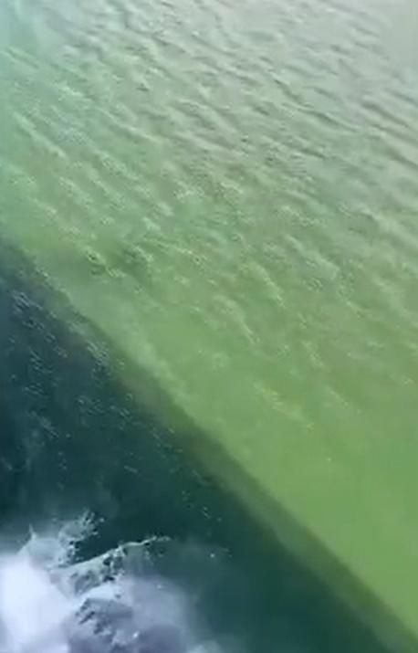 遊客阿根廷玩笨豬跳竟斷纜。(網上影片)