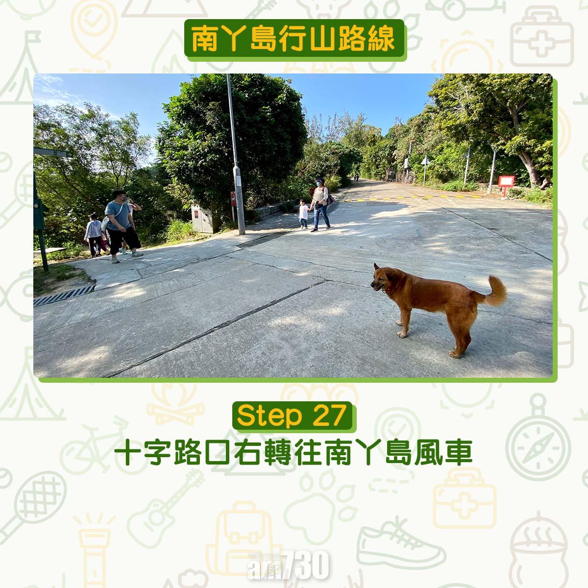 南丫島行山路線