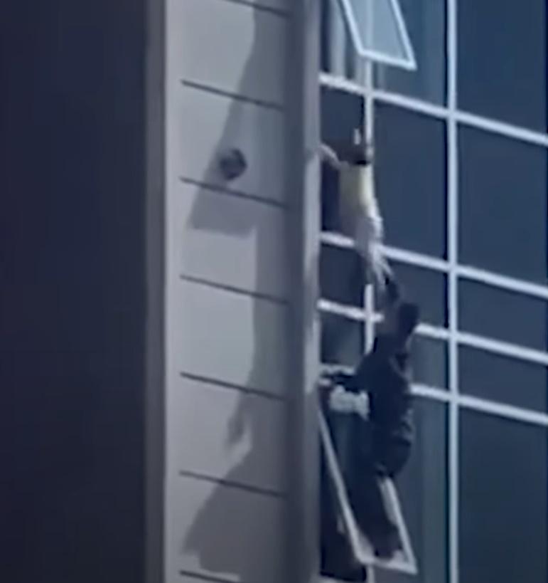 4孩之父攀窗只有朋友扶住雙腿。(Telegram)