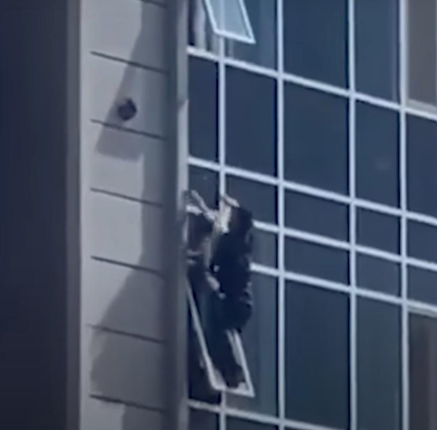 4孩之父攀窗只有朋友扶住雙腿。(Telegram)