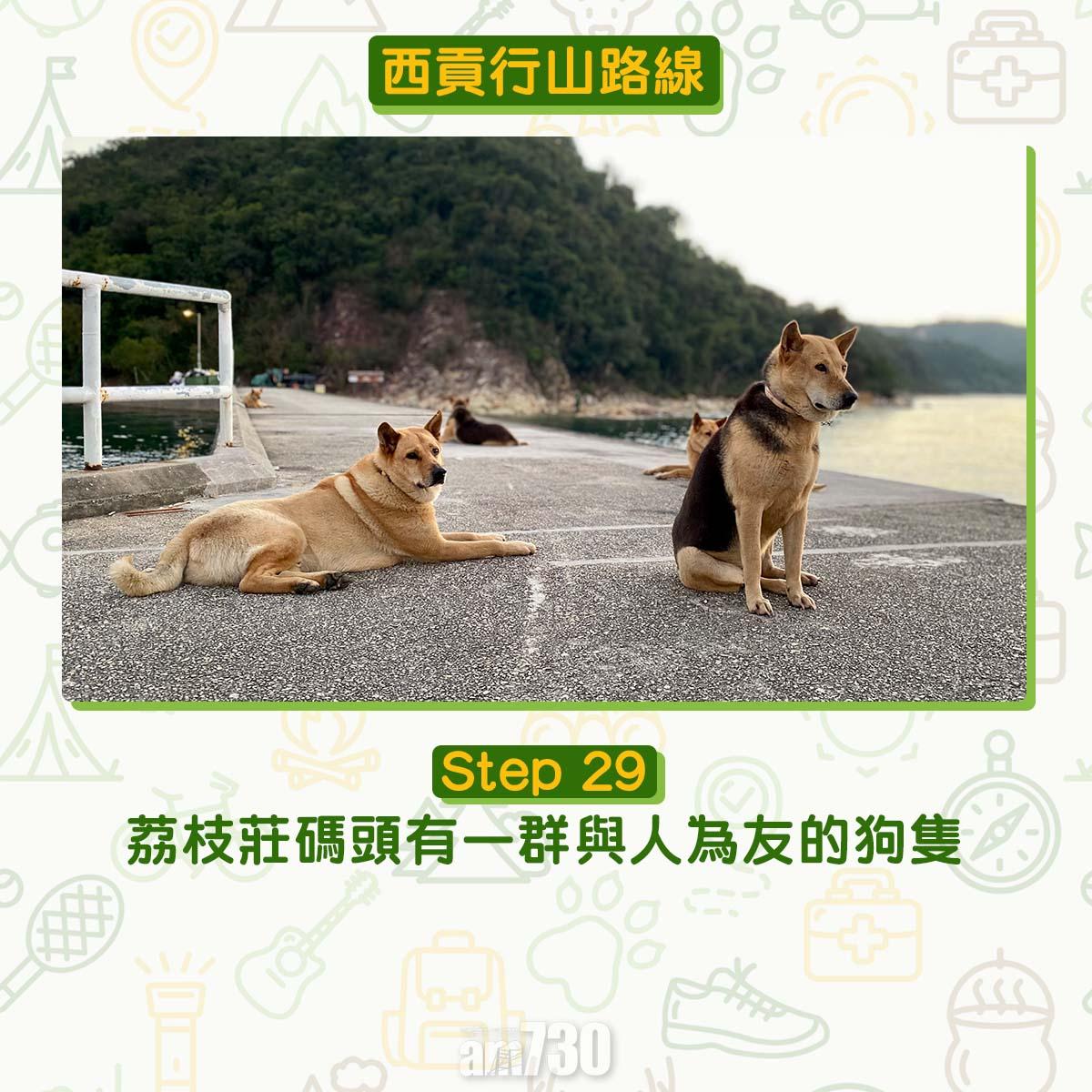 西貢行山路線 荔枝莊