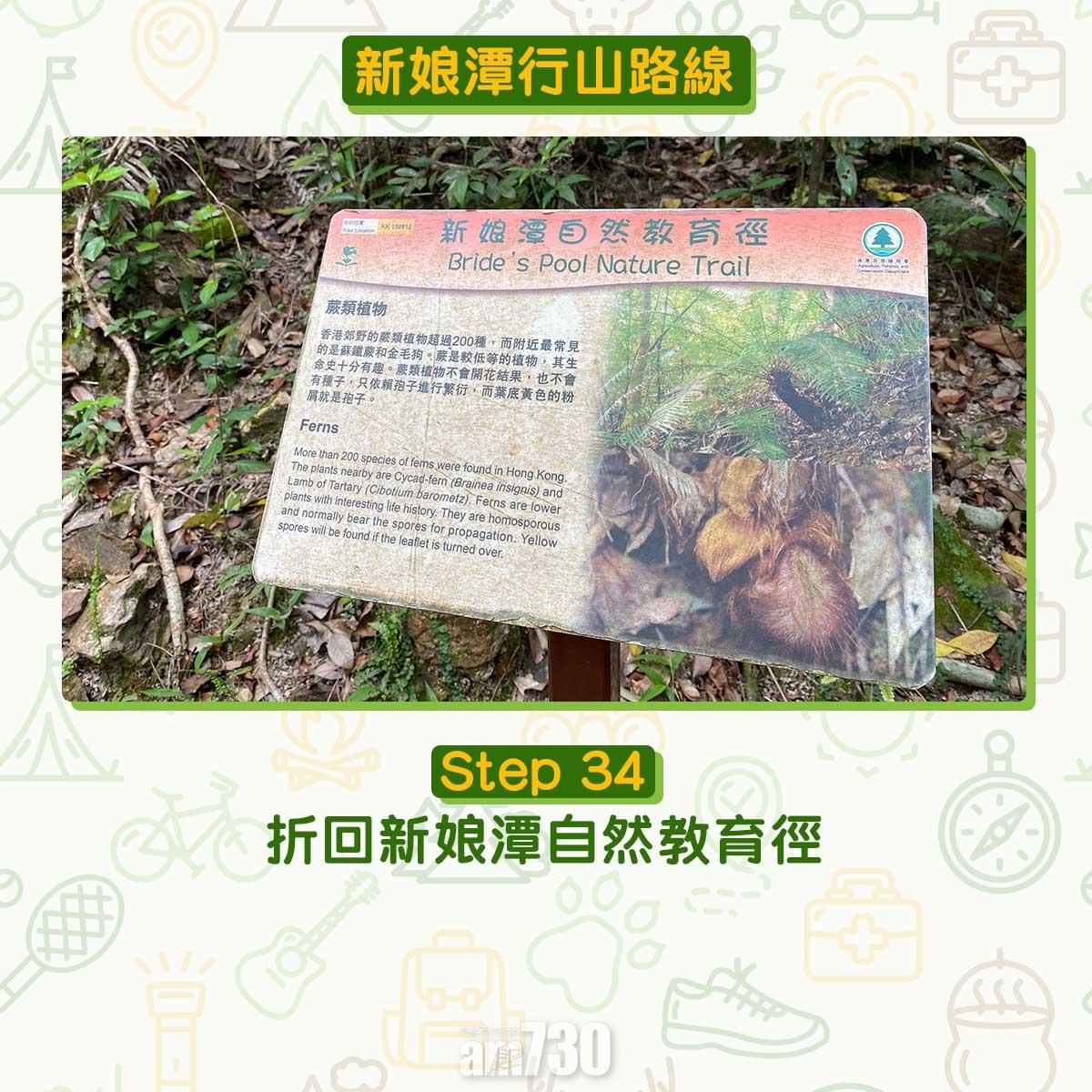 新娘潭行山路線