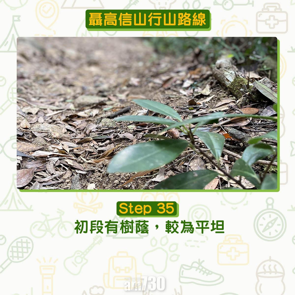 聶高信山行山路線