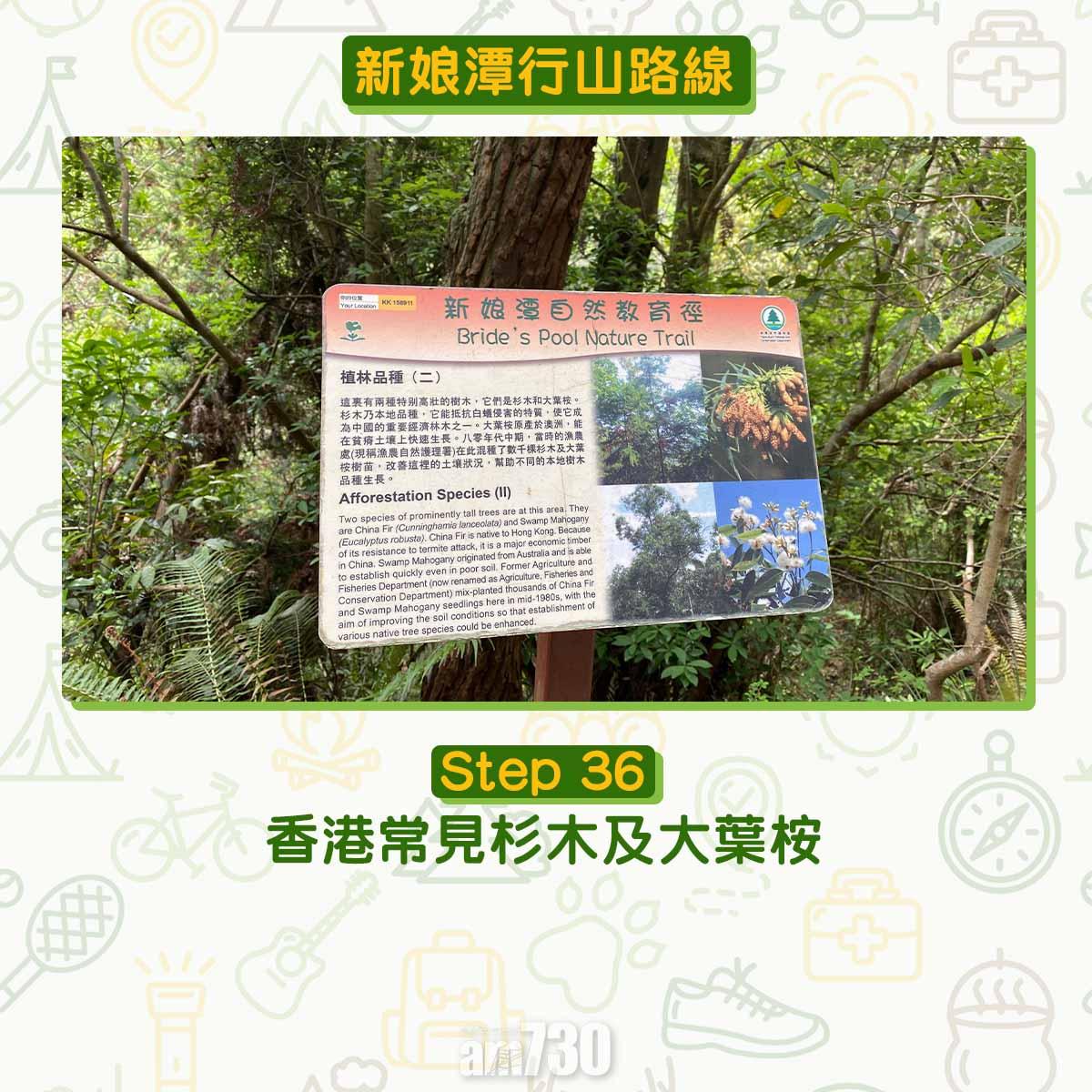 新娘潭行山路線