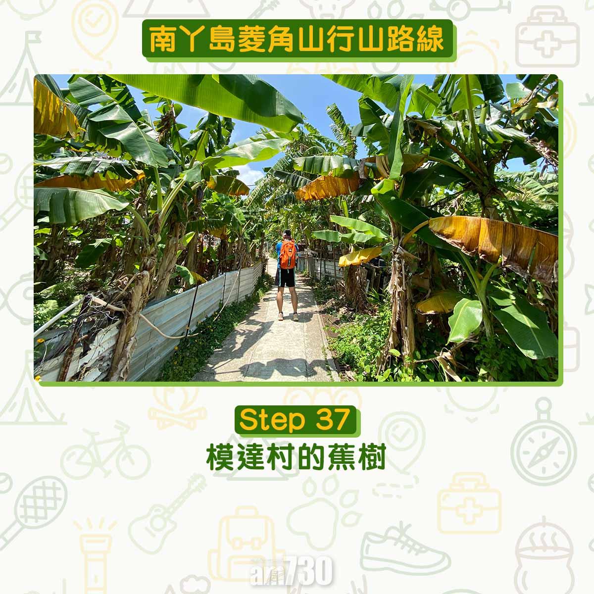 南丫島菱角山行山路線