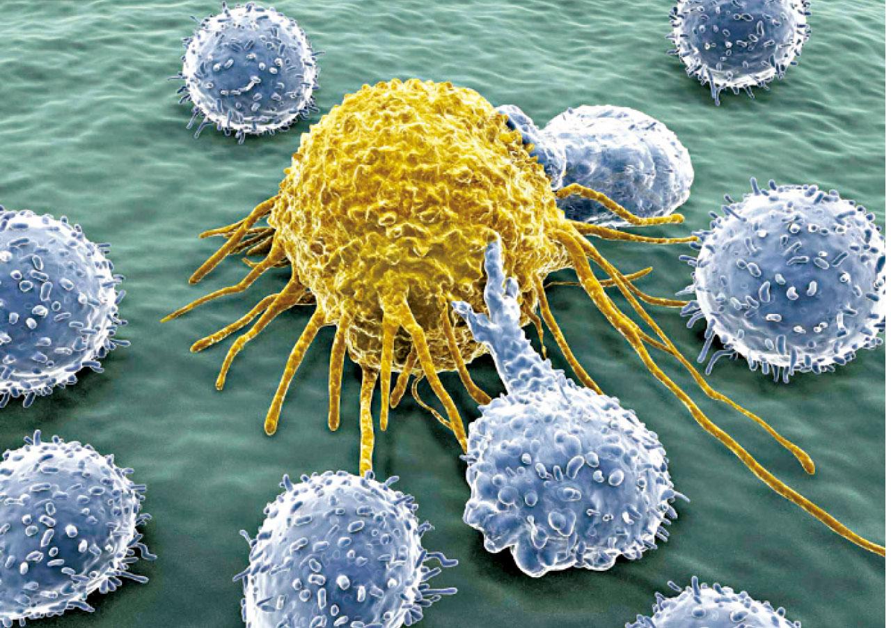 鼻咽癌 治療新方向