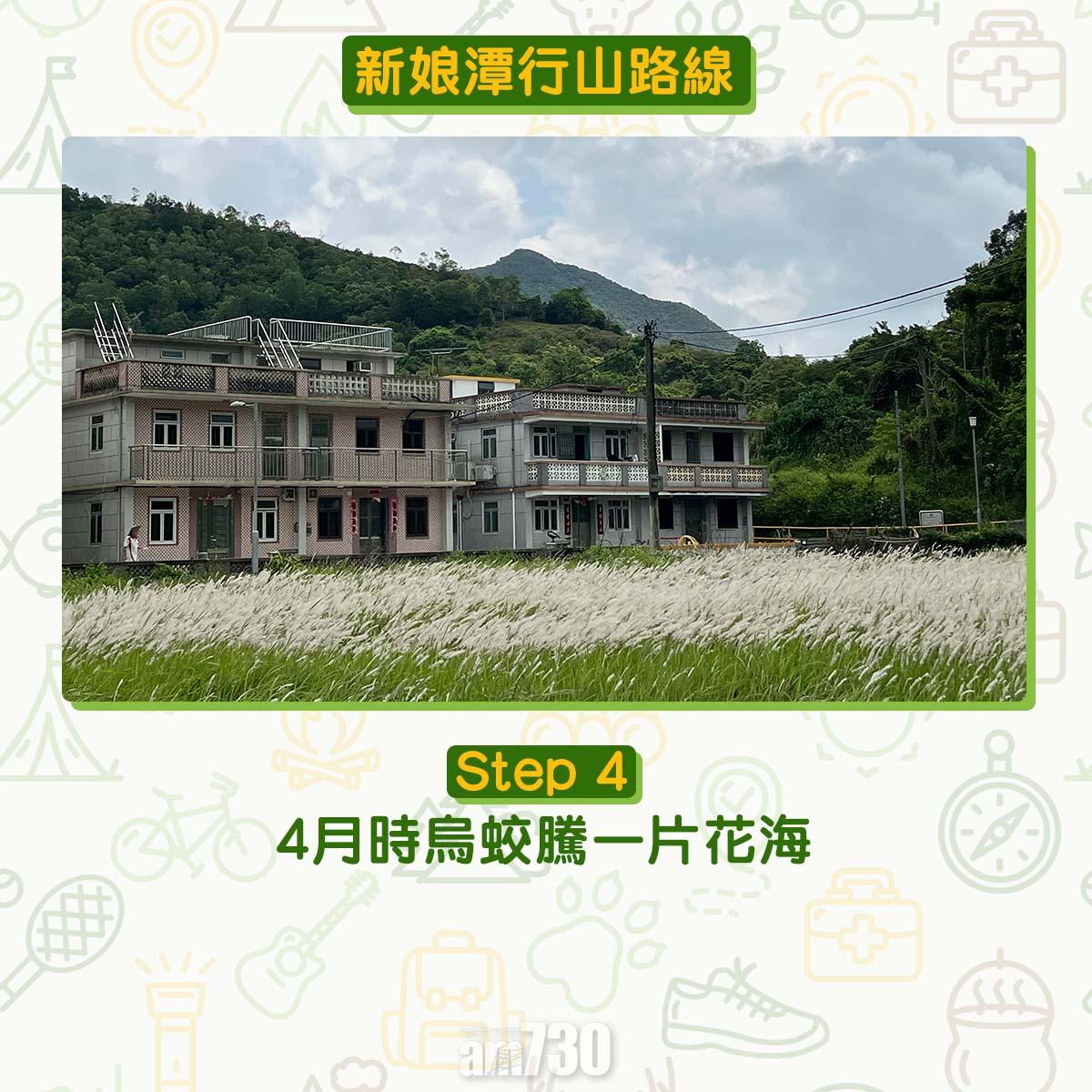 新娘潭行山路線