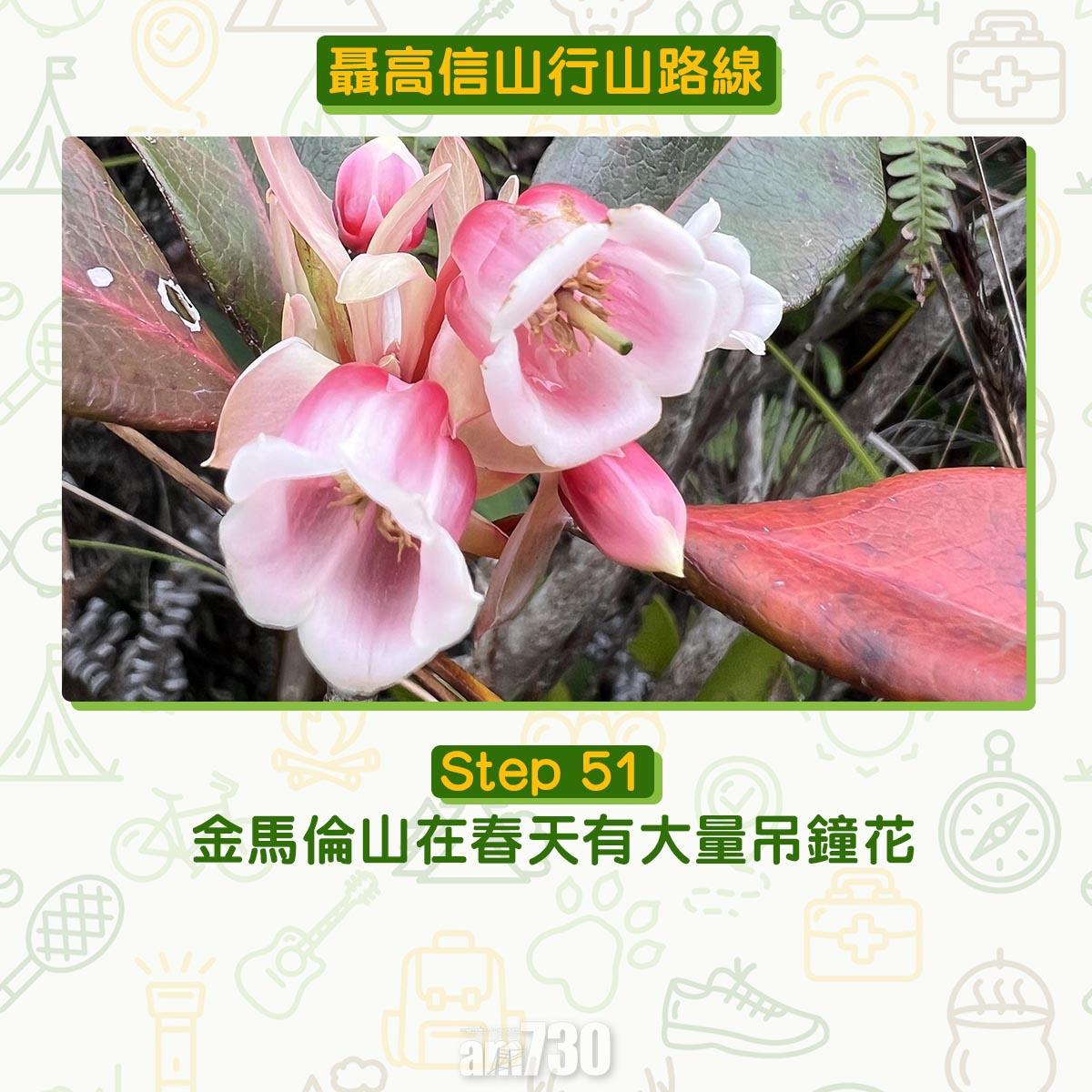 聶高信山行山路線