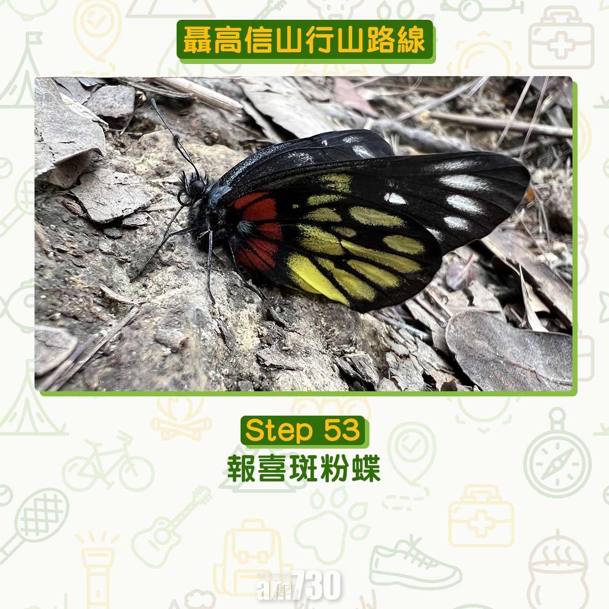 聶高信山行山路線