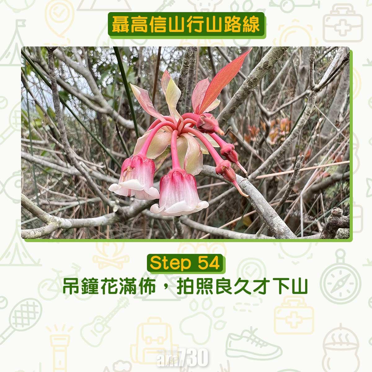 聶高信山行山路線