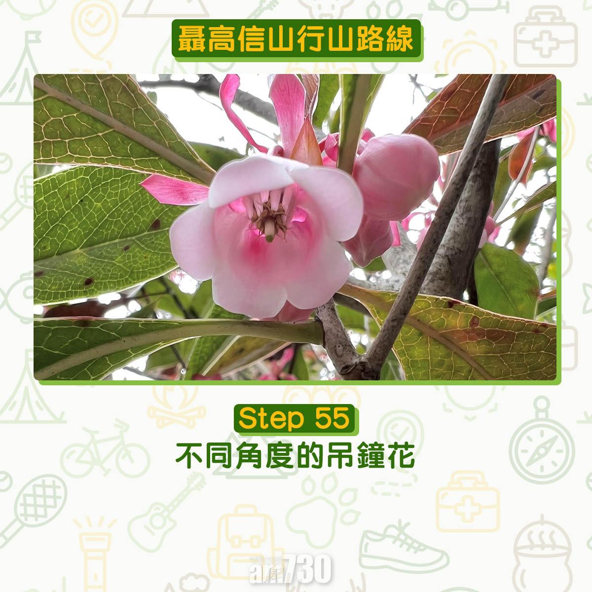 聶高信山行山路線