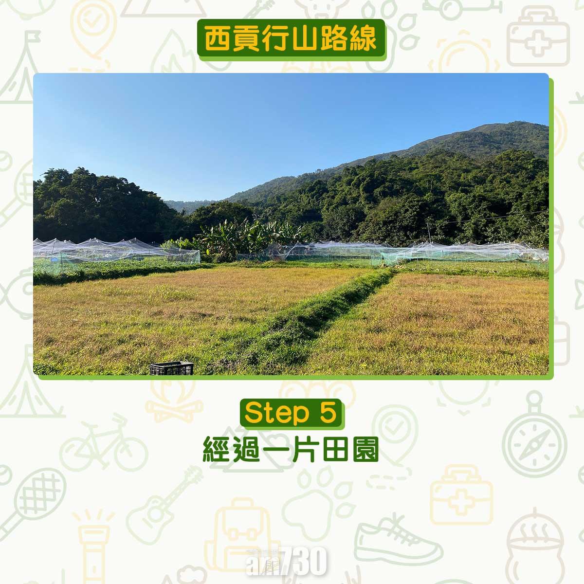 西貢行山路線 荔枝莊