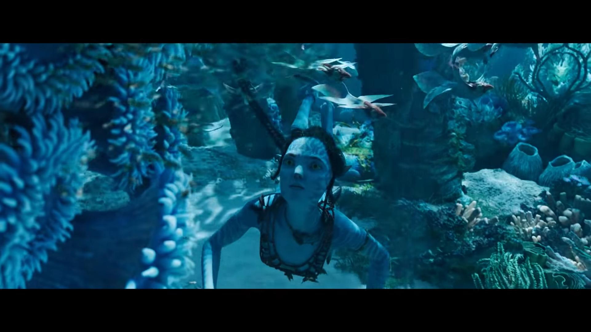 《阿凡達2》有不少水底畫面。