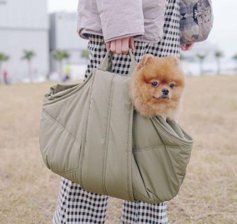 Beige + Bright 寵物戶外用品