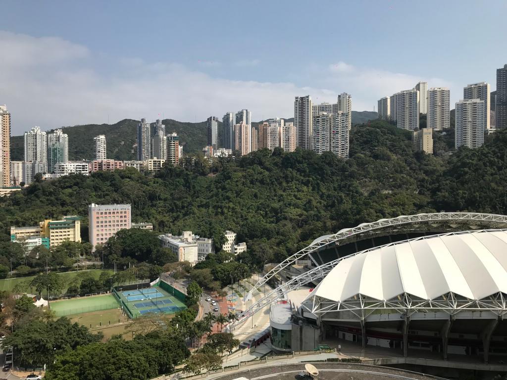 景觀一邊望大球場及遠望渣甸山豪宅群。
