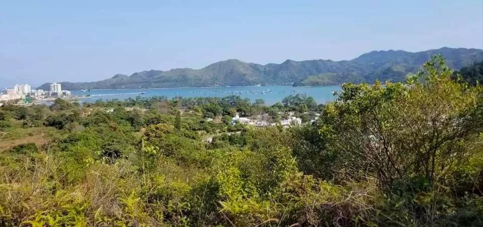 位於沙頭角背山面海營地環境獨特有充裕私人空間和家人好友享受野外露營,但營地不提供娛樂設施。