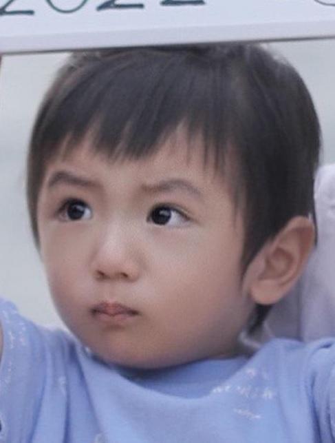 兒子微微皺眉,倪晨曦搞笑地寫著:「最後一張應該哥哥內心真實的反應」