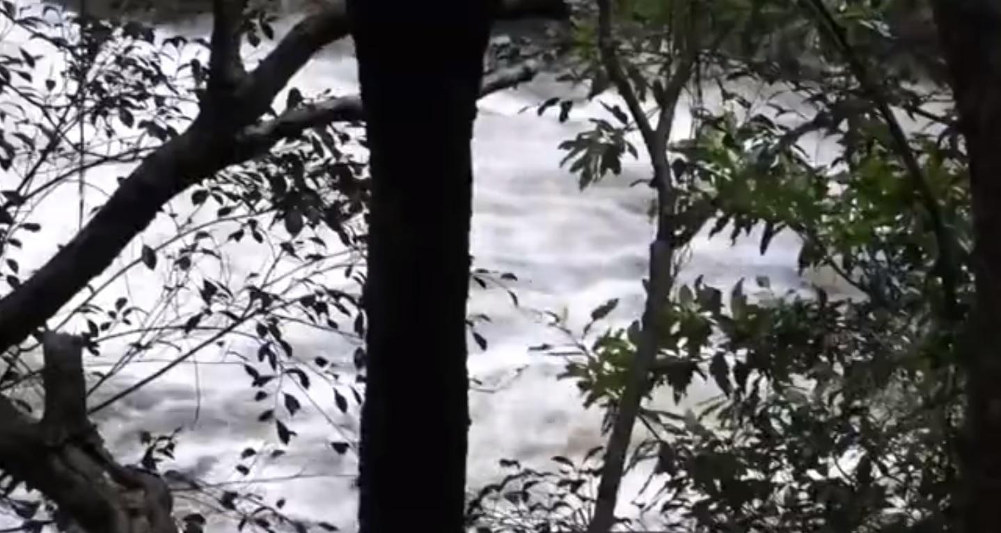 分別在石澗的上游和下游搜索失蹤事主