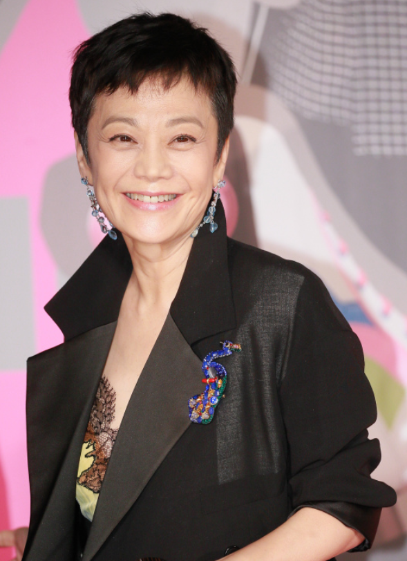 張艾嘉入圍角逐影后11次,當中有2次獲獎。