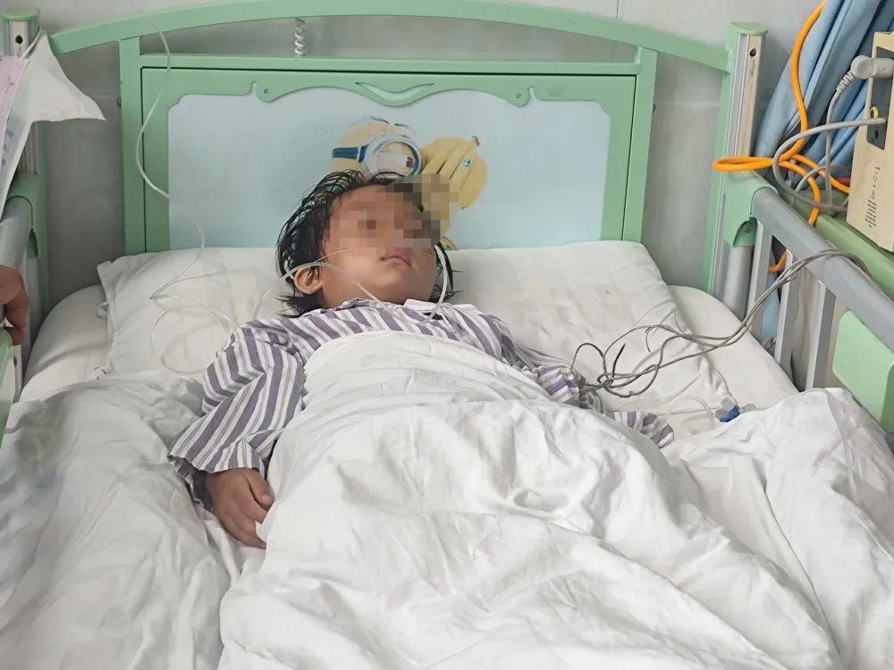 陽陽氣管內的水蛭被取出後,呼吸道症狀明顯好轉。(互聯網)