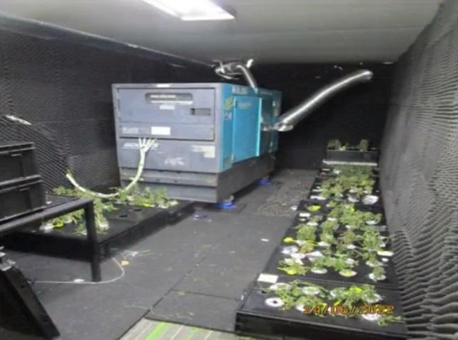 其中一個種植場於火炭禾盛街一個工廈單位