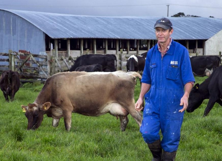 奧克蘭北部一個牧場。(資料圖片)