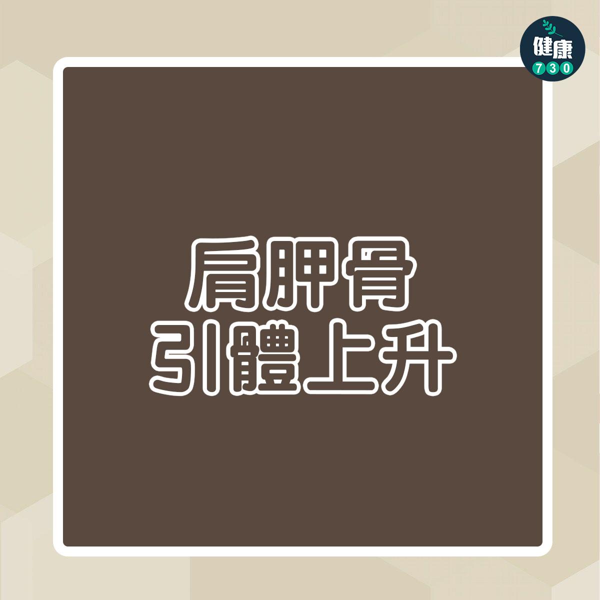 引體上升訓練|肩胛骨引體上升(am730製圖)