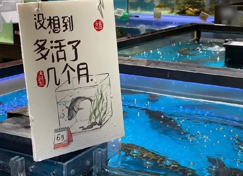 上海大潤發超市裡的活魚,在「感慨」多活了幾個月。(互聯網)