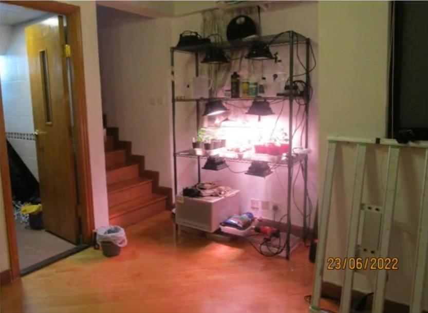 其中一個種植場於西營盤柏道一個住宅單位