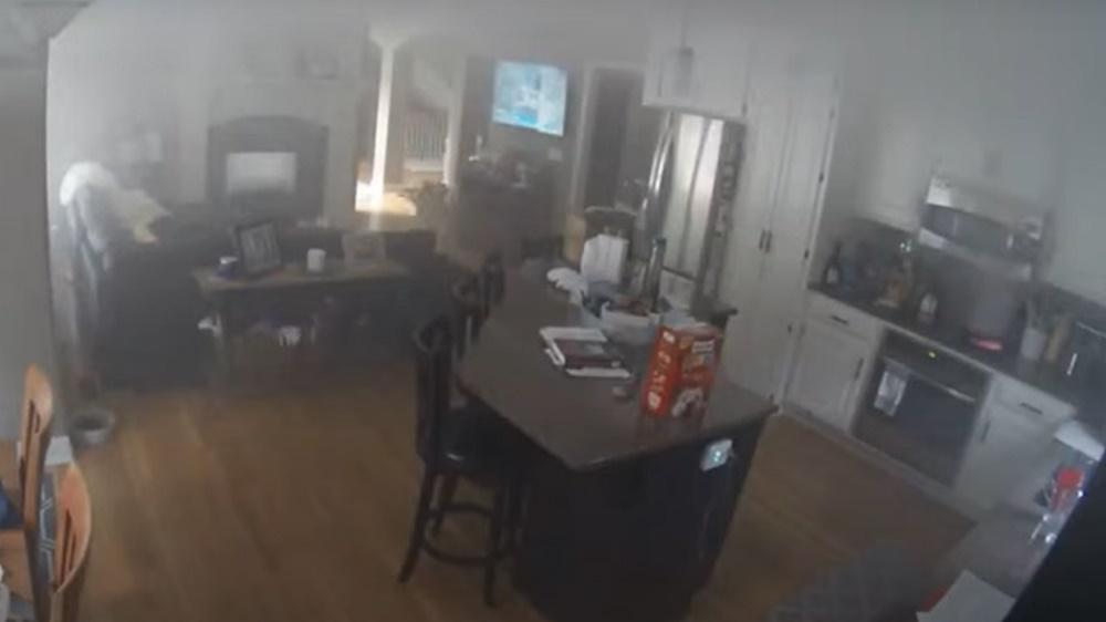 CCTV揭發係汪星人點火導致火警。(YouTube)