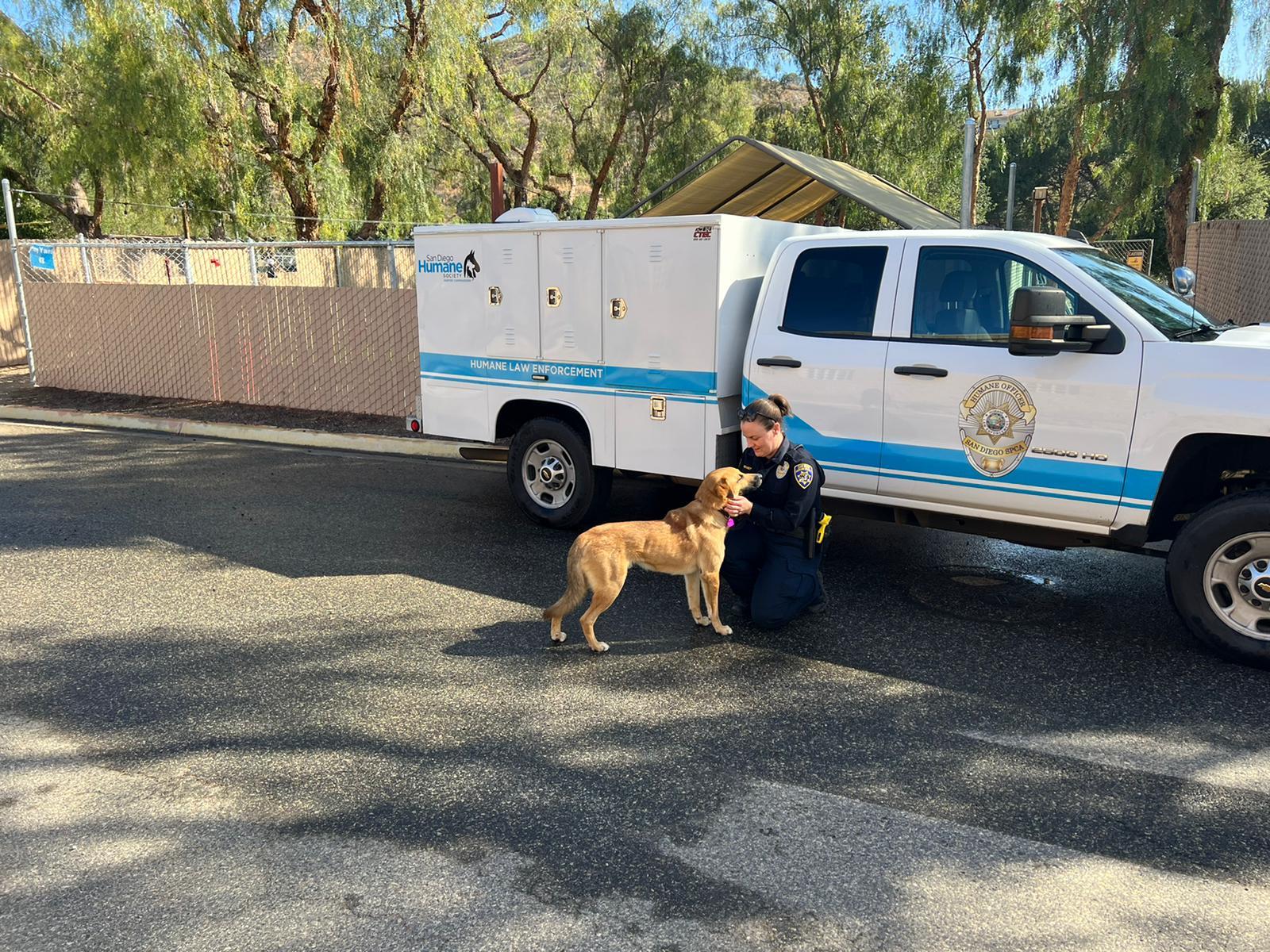 人道協會人員帶走狗狗。(YouTube)