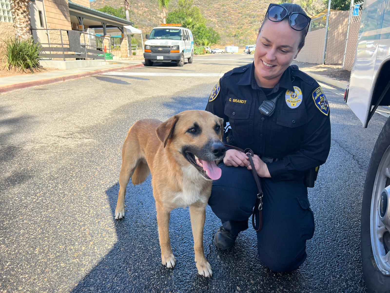 人道協會人員帶走狗狗。(YouTube)