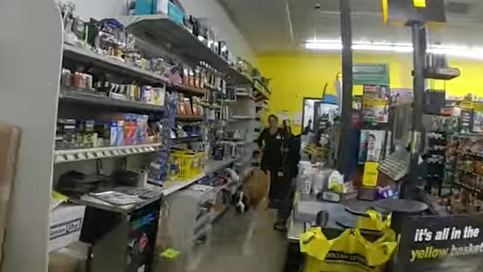 狗狗逛超市閂門都唔走,店員無奈報警,主人接回。(FB)