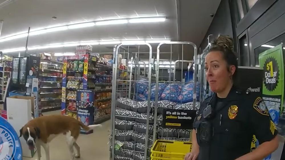 狗狗逛超市閂門都唔走,店員無奈報警,主人接回。(FB)