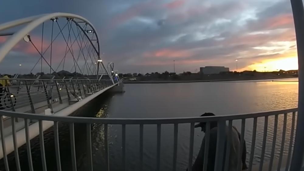 Sean Bickings突然爬過圍欄。(YouTube)