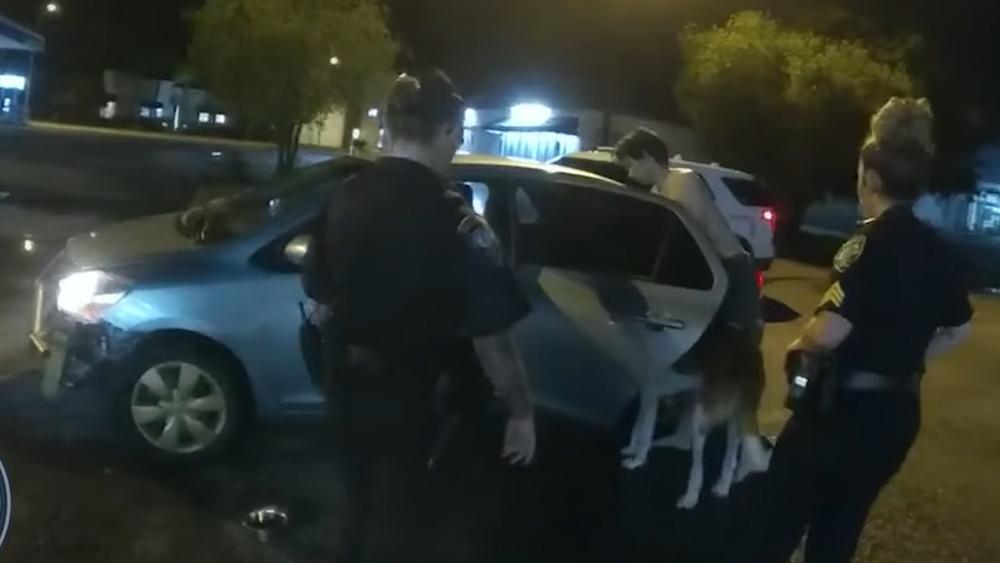 狗狗逛超市閂門都唔走,店員無奈報警,主人接回。(FB)