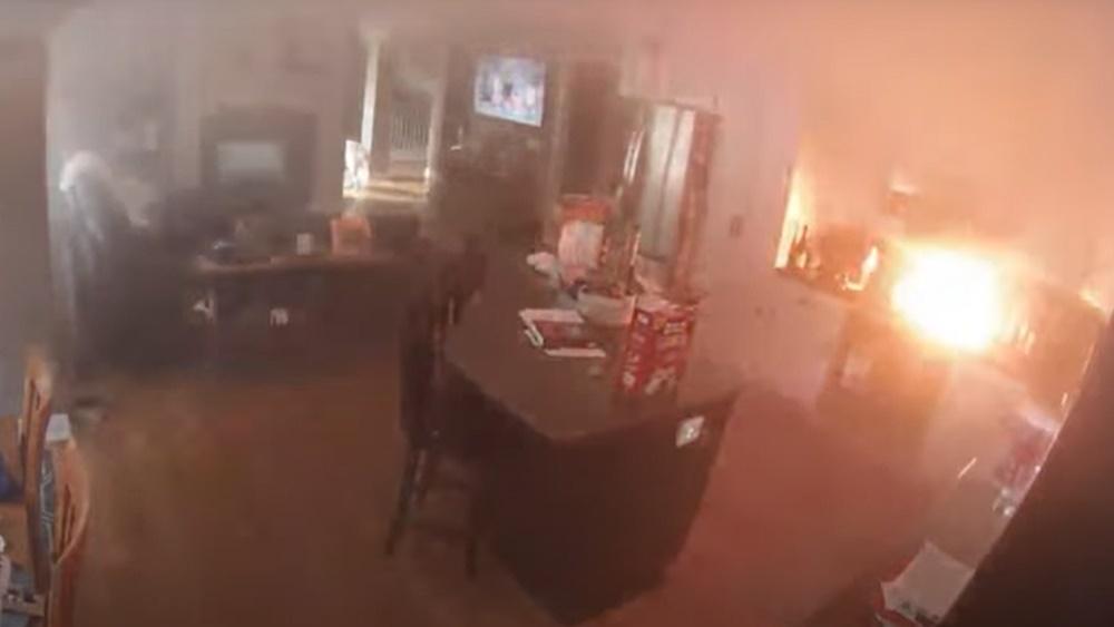CCTV揭發係汪星人點火導致火警。(YouTube)