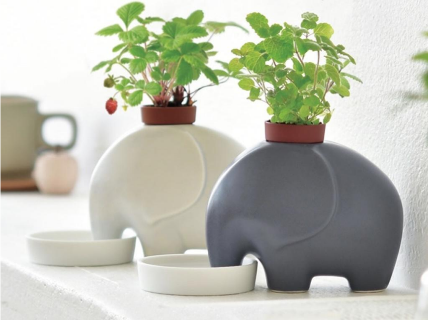 @bitaskog│陶瓷小象盆栽