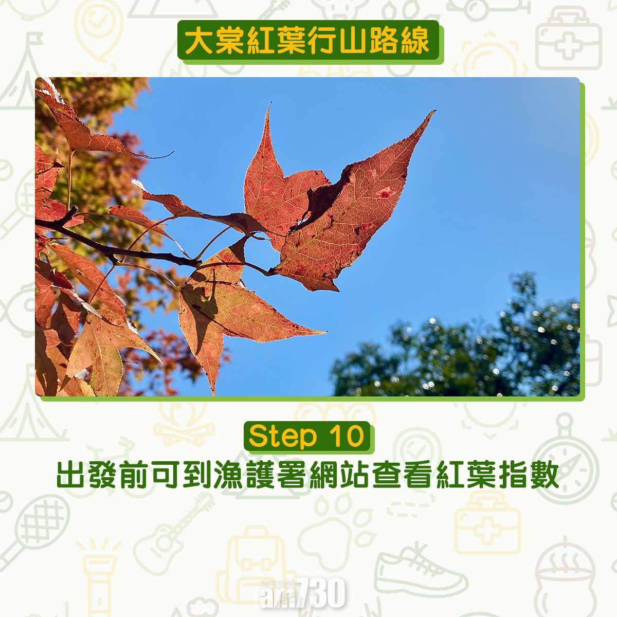 大棠紅葉行山路線
