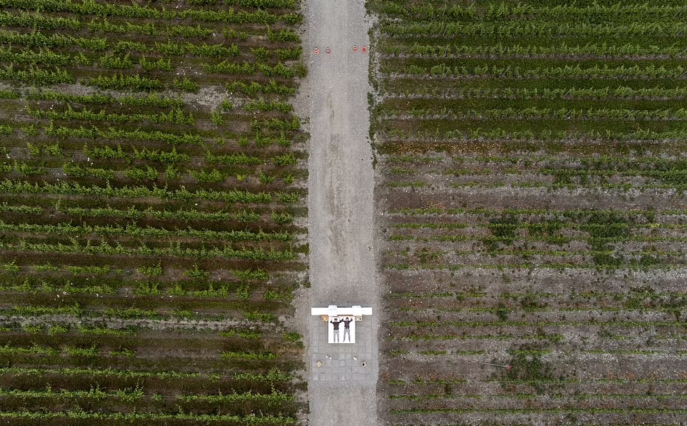 設在酒莊葡萄園內的快閃套房。(路透社)