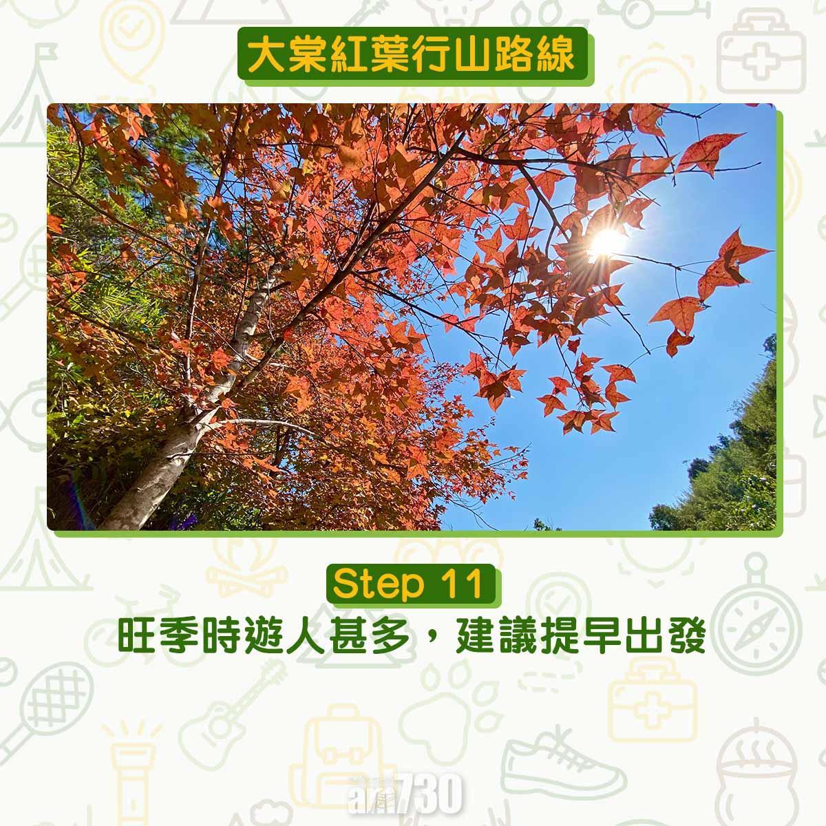 大棠紅葉行山路線